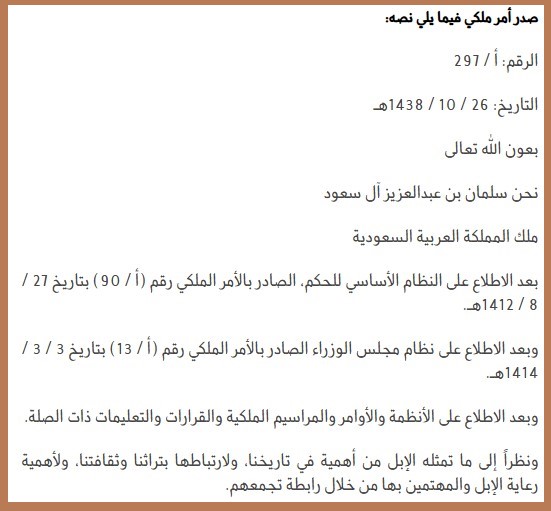 بأمر ملكي .. تأسيس نادي الإبل السعودي لحماية التراث وتوثيق رموزه