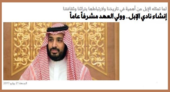 بأمر ملكي .. تأسيس نادي الإبل السعودي لحماية التراث وتوثيق رموزه